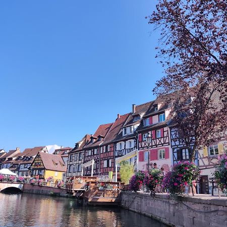 Au Bretzel Dore - Centre Historique Colmar Ngoại thất bức ảnh