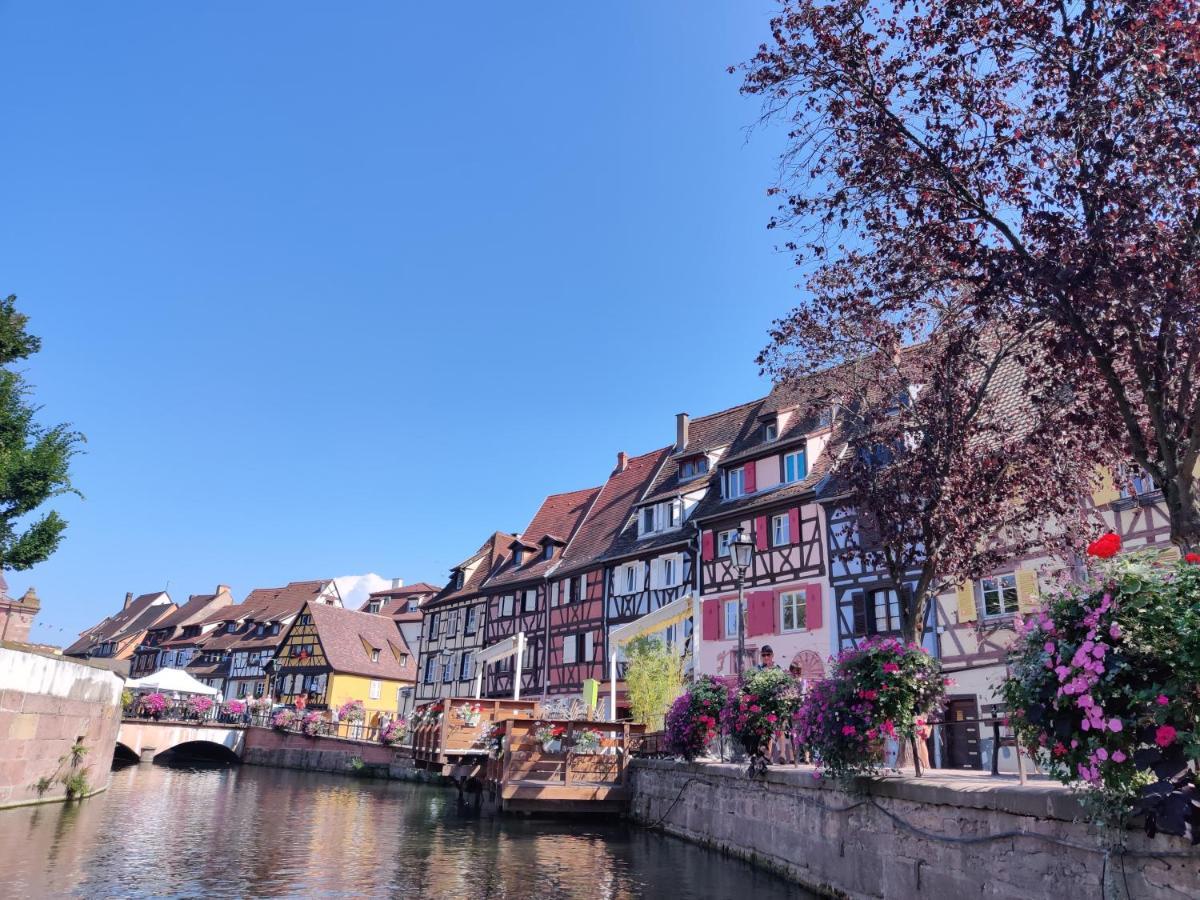 Au Bretzel Dore - Centre Historique Colmar Ngoại thất bức ảnh