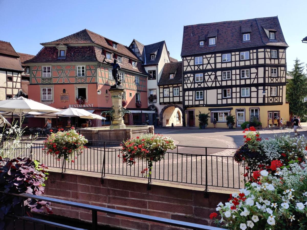 Au Bretzel Dore - Centre Historique Colmar Ngoại thất bức ảnh